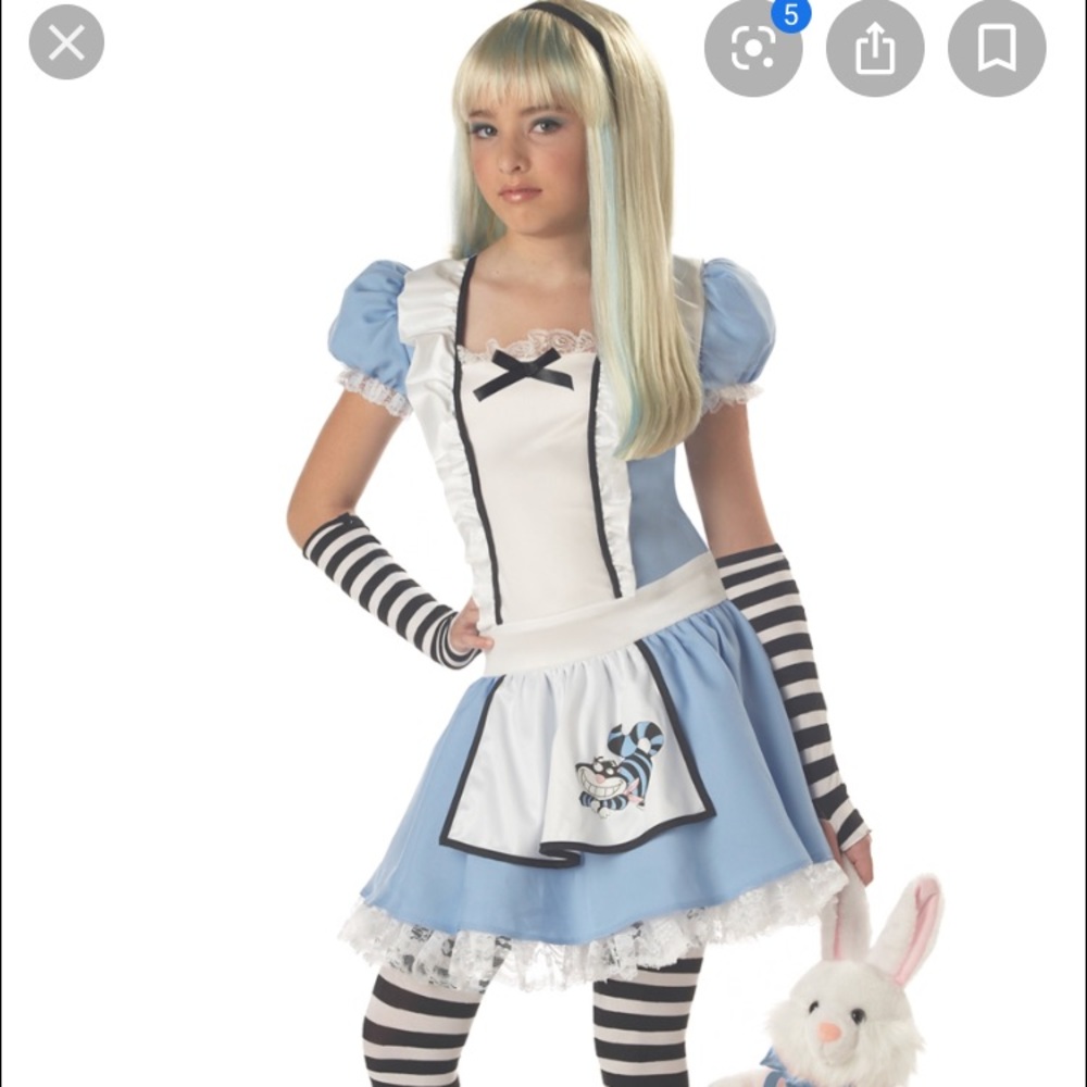 Alice and wonderland costume